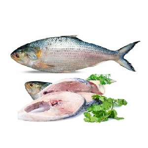 Bangladeshi Padma Hilsha(1kg)