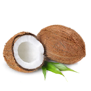 Coconut (1pc)
