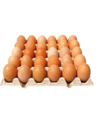 Egg 30 Pack, Brown.