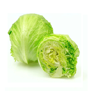 Iceberg Lettuce (1 pc)